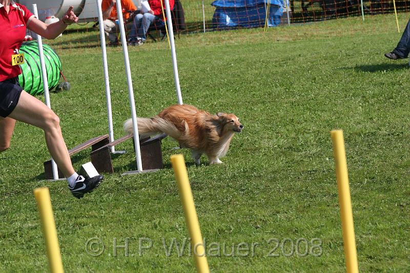 jubil.lusten. 154.jpg